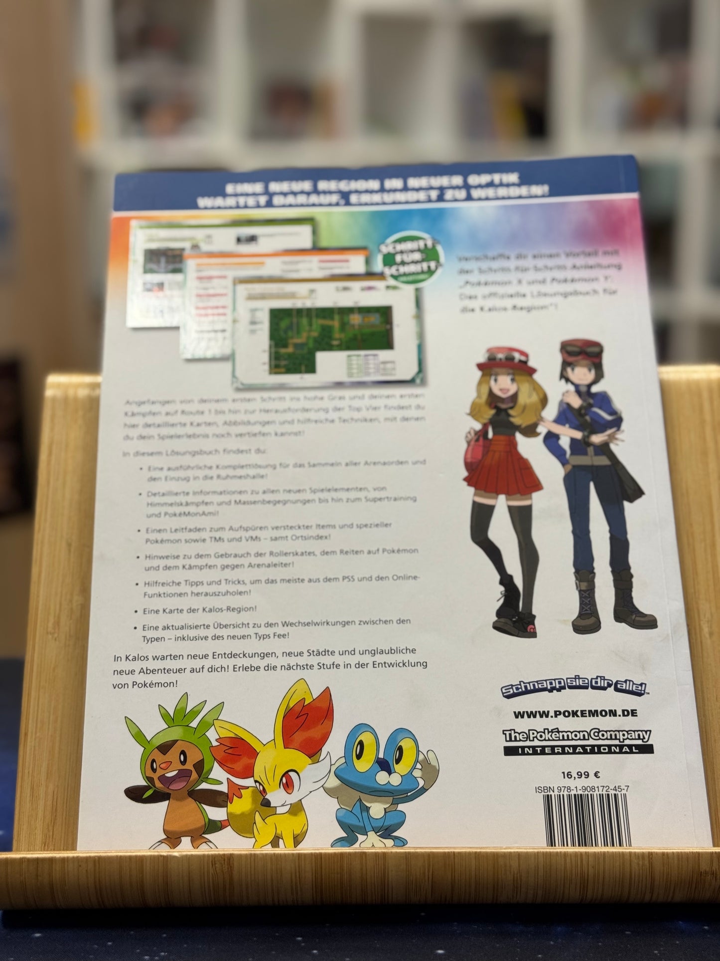 Pokémon X/Y Lösungsbuch